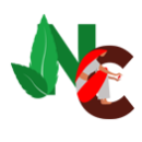 site-logo image